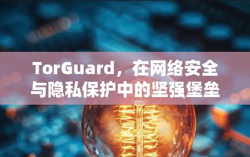 TorGuard,在网络安全与隐私保护中的坚强堡垒 TorGuard,在网络安全与隐私保护中的坚强堡垒