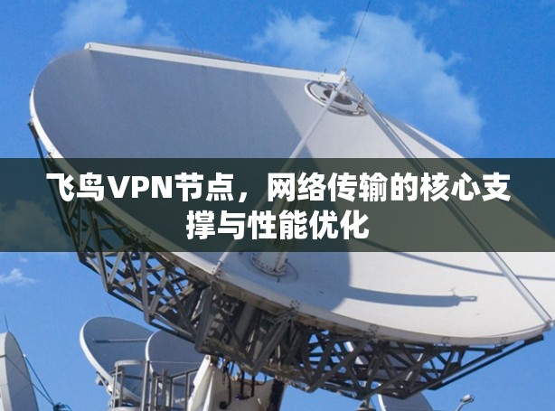 飞鸟VPN节点,网络传输的核心支撑与性能优化 飞鸟VPN节点,网络传输的核心支撑与性能优化