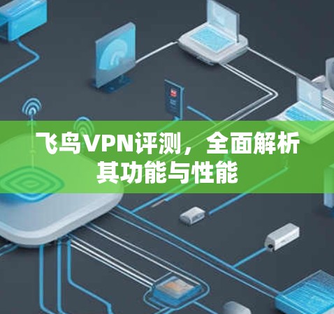 飞鸟VPN评测,全面解析其功能与性能 飞鸟VPN评测,全面解析其功能与性能