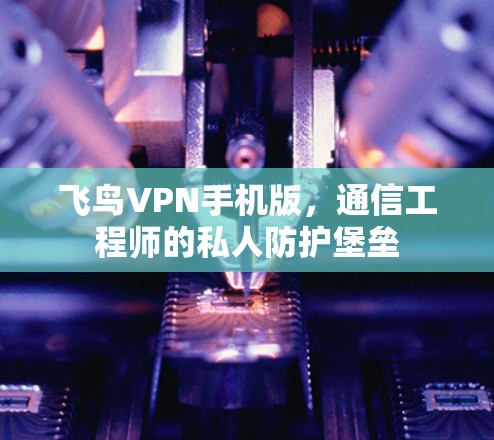 飞鸟VPN手机版，通信工程师的私人防护堡垒