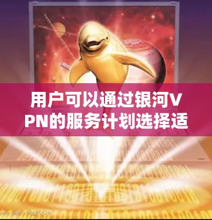 用户可以通过银河VPN的服务计划选择适合自己的选项，包括免费版和付费版，后者提供更多功能和更好的性能。服务支持包括多平台应用、友好的用户界面和全天候的客户支持，确保用户能够轻松使用并获得高效的服务