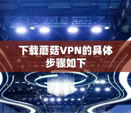 下载蘑菇VPN的具体步骤如下 下载蘑菇VPN的具体步骤如下
