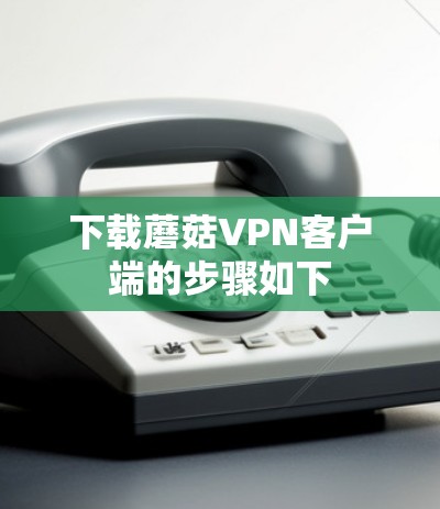 下载蘑菇VPN客户端的步骤如下