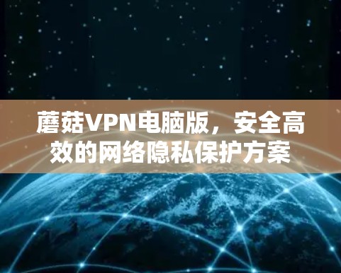 蘑菇VPN电脑版，安全高效的网络隐私保护方案