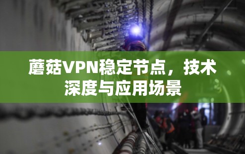蘑菇VPN稳定节点,技术深度与应用场景 蘑菇VPN稳定节点,技术深度与应用场景