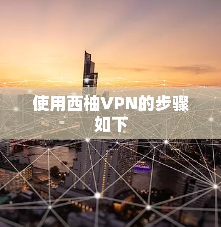 使用西柚VPN的步骤如下