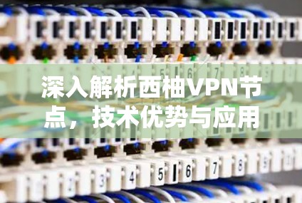 深入解析西柚VPN节点，技术优势与应用场景