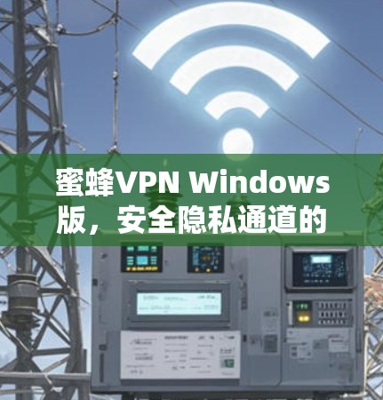蜜蜂VPN Windows版,安全隐私通道的最佳选择 蜜蜂VPN Windows版,安全隐私通道的最佳选择