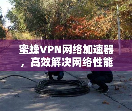 蜜蜂VPN网络加速器，高效解决网络性能瓶颈的创新方案