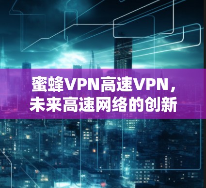 蜜蜂VPN高速VPN,未来高速网络的创新解决方案 蜜蜂VPN高速VPN,未来高速网络的创新解决方案