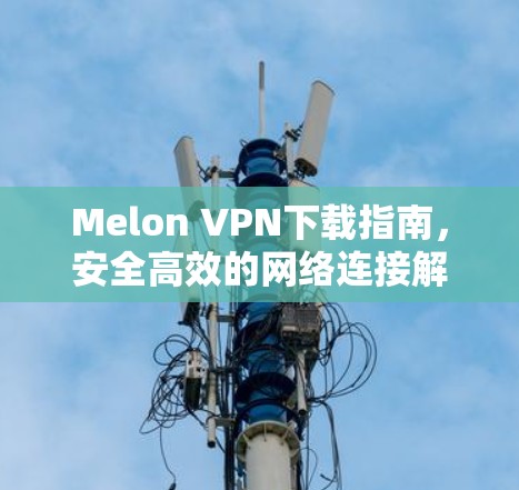 Melon VPN下载指南,安全高效的网络连接解决方案 Melon VPN下载指南,安全高效的网络连接解决方案