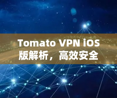 Tomato VPN iOS版解析,高效安全的移动互联网解决方案 Tomato VPN iOS版解析,高效安全的移动互联网解决方案