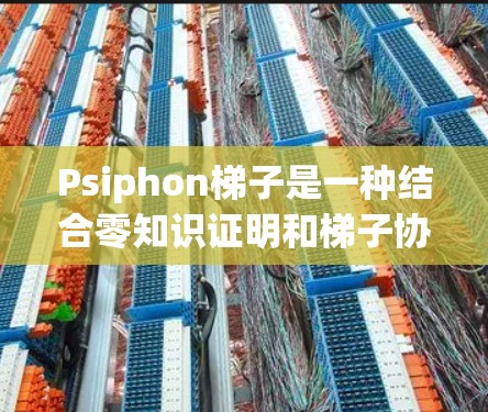 Psiphon梯子是一种结合零知识证明和梯子协议的区块链匿名交易工具，旨在通过零知识证明保护交易隐私，并利用梯子协议实现高匿名性交易。以下是对Psiphon梯子的详细分析