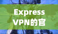 ExpressVPN的官网入口是通过其官方网站访问的。以下是详细的步骤