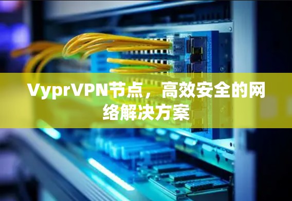 VyprVPN节点,高效安全的网络解决方案 VyprVPN节点,高效安全的网络解决方案