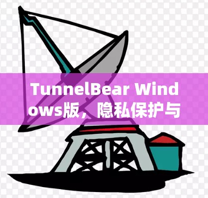TunnelBear Windows版，隐私保护与高速连接的完美结合