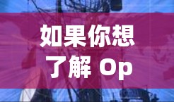 如果你想了解 Opera VPN 的优惠信息,可以通过以下途径获取 如果你想了解 Opera VPN 的优惠信息,可以通过以下途径获取