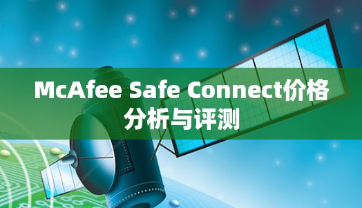 McAfee Safe Connect价格分析与评测