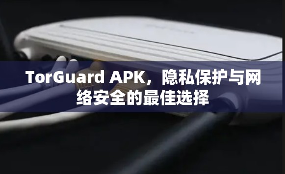 TorGuard APK,隐私保护与网络安全的最佳选择 TorGuard APK,隐私保护与网络安全的最佳选择