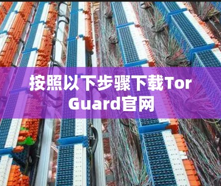 按照以下步骤下载TorGuard官网