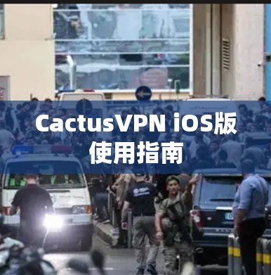 CactusVPN iOS版使用指南
