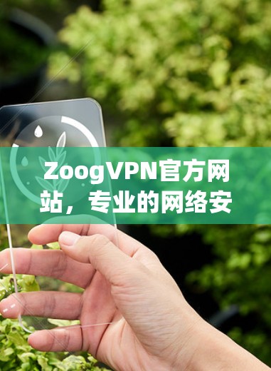 ZoogVPN官方网站,专业的网络安全解决方案 ZoogVPN官方网站,专业的网络安全解决方案