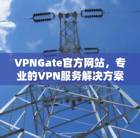 VPNGate官方网站,专业的VPN服务解决方案 VPNGate官方网站,专业的VPN服务解决方案