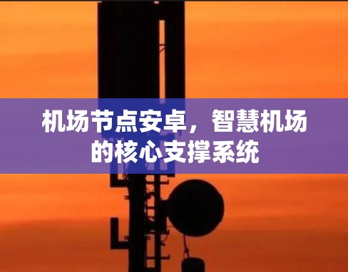 机场节点安卓,智慧机场的核心支撑系统 机场节点安卓,智慧机场的核心支撑系统