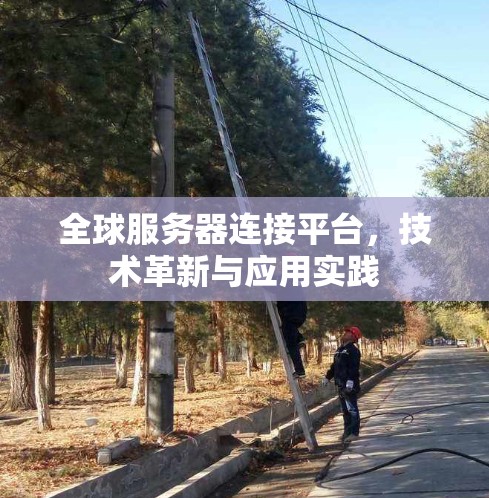 全球服务器连接平台，技术革新与应用实践