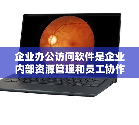 企业办公访问软件是企业内部资源管理和员工协作的关键工具，帮助确保数据安全和提高工作效率。以下是对企业办公访问软件的详细分析和选择指南