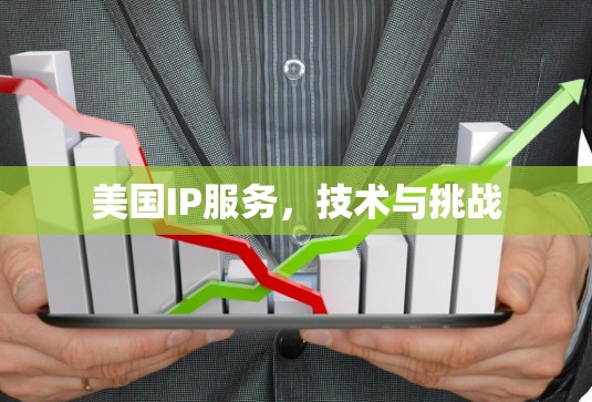 美国IP服务，技术与挑战