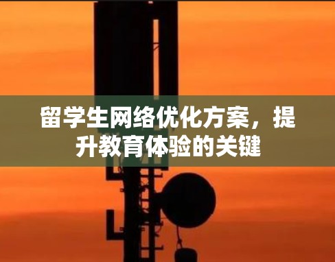 留学生网络优化方案,提升教育体验的关键 留学生网络优化方案,提升教育体验的关键