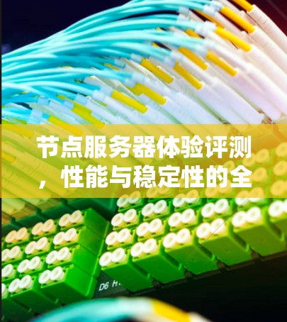 节点服务器体验评测，性能与稳定性的全面考量