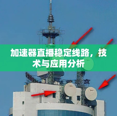 加速器直播稳定线路，技术与应用分析