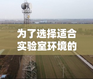 为了选择适合实验室环境的远程连接软件,我们可以根据以下几个关键因素进行综合分析 为了选择适合实验室环境的远程连接软件,我们可以根据以下几个关键因素进行综合分析