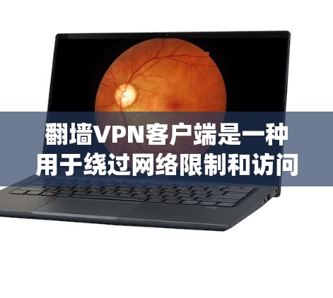 翻墙VPN客户端是一种用于绕过网络限制和访问被限制访问的内容的软件。这些客户端通常连接到远程服务器，通过加密 tunnel 保护你的隐私，并让你访问被屏蔽的网站。以下是一些常用的翻墙VPN客户端