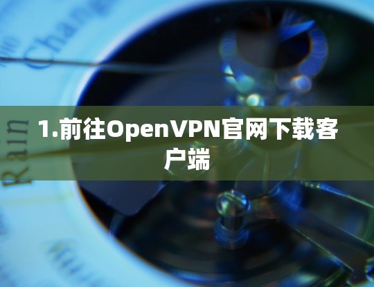 1.前往OpenVPN官网下载客户端 1.前往OpenVPN官网下载客户端