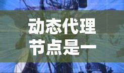 动态代理节点是一种在运行时动态生成代理类的技术,主要用于实现AOP(面向切面编程)以下是对动态代理节点的详细分析 动态代理节点是一种在运行时动态生成代理类的技术,主要用于实现AOP(面向切面编程)以下是对动态代理节点的详细分析