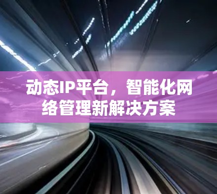 动态IP平台,智能化网络管理新解决方案 动态IP平台,智能化网络管理新解决方案