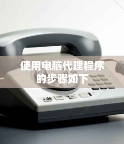 使用电脑代理程序的步骤如下 使用电脑代理程序的步骤如下