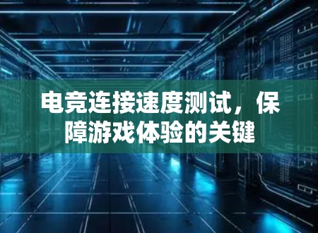 电竞连接速度测试,保障游戏体验的关键 电竞连接速度测试,保障游戏体验的关键