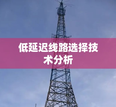 低延迟线路选择技术分析