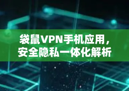 袋鼠VPN手机应用，安全隐私一体化解析