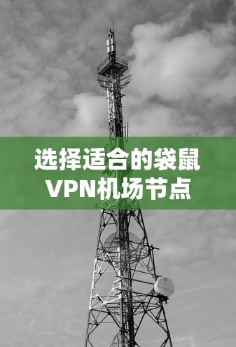 选择适合的袋鼠VPN机场节点需要综合考虑多个因素，以下是详细的步骤和建议