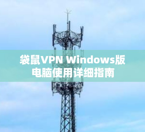 袋鼠VPN Windows版电脑使用详细指南 袋鼠VPN Windows版电脑使用详细指南