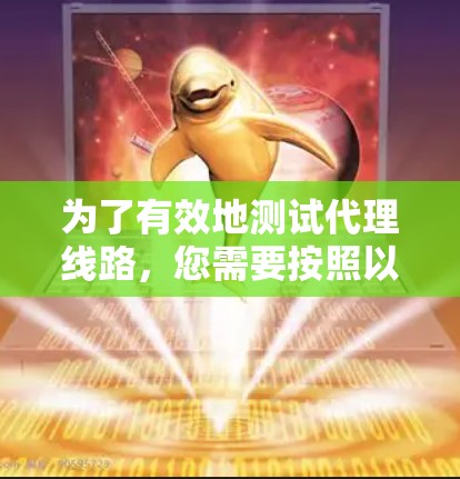 为了有效地测试代理线路，您需要按照以下步骤进行