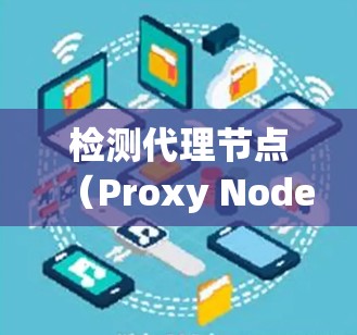 检测代理节点（Proxy Node Detection）的过程可以通过以下步骤进行