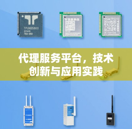 代理服务平台，技术创新与应用实践