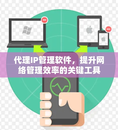 代理IP管理软件，提升网络管理效率的关键工具
