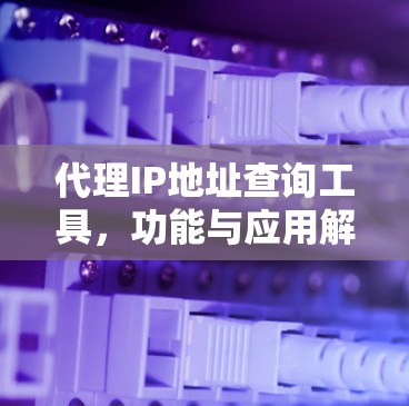 代理IP地址查询工具，功能与应用解析